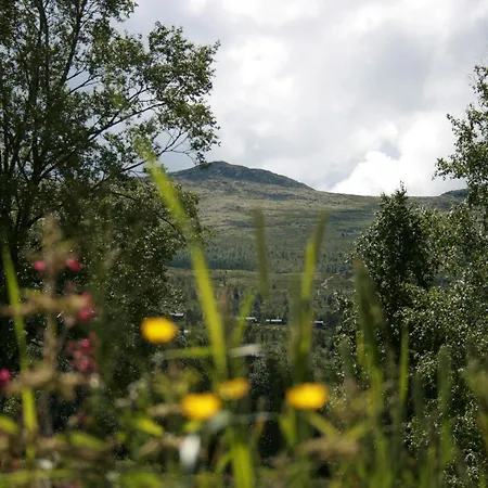 公寓 Hovringen Lodge 霍夫灵恩