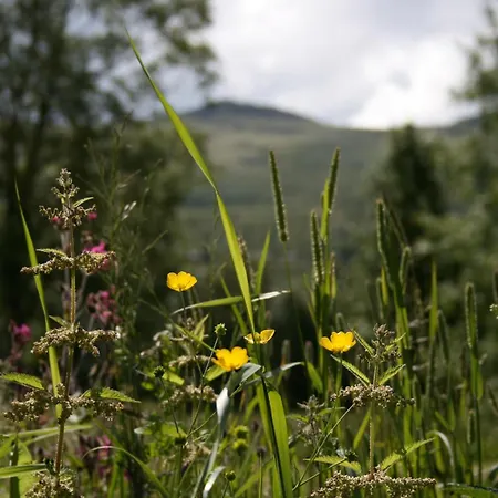 Hovringen Lodge *