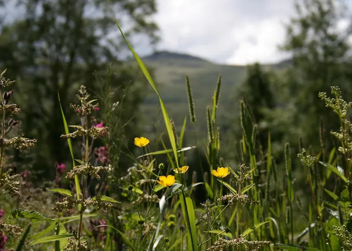 Hovringen Lodge *