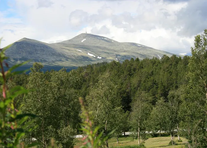 Hovringen Lodge Høvringen