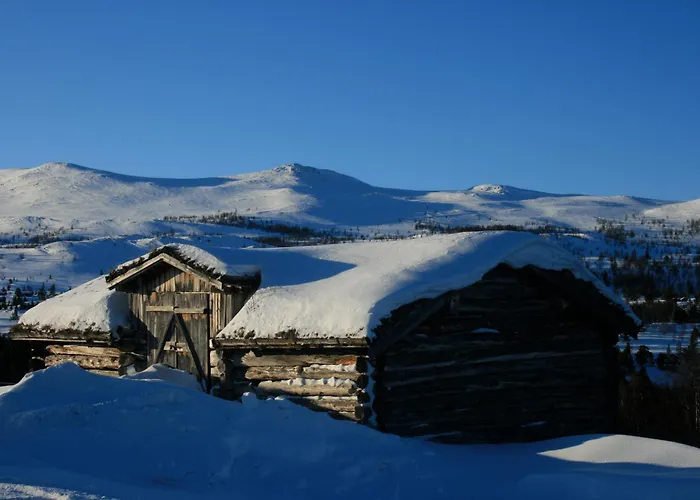 Hovringen Lodge *