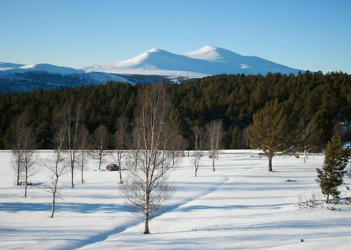 Hovringen Lodge